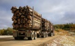 С 2022 года в России запретят вывоз необработанного леса