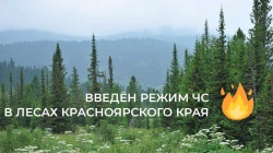 С 27.07.2023 введен режим чрезвычайной ситуации в лесах Красноярского края.